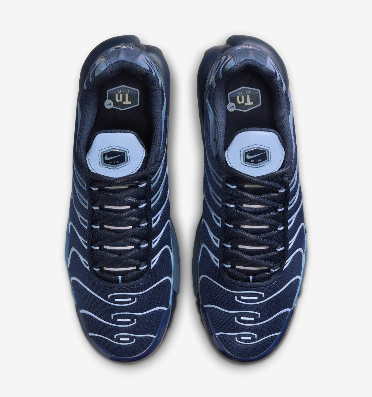 Nike TN Air Max Plus Obsidian Aluminum